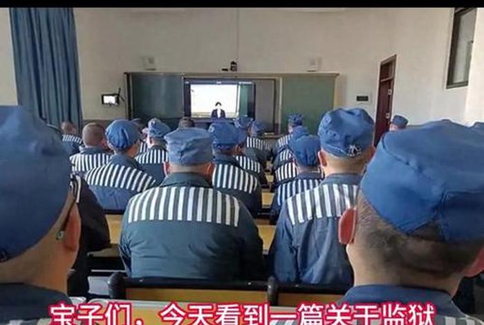 监狱生活字幕下载中文字幕（监狱生活2020）