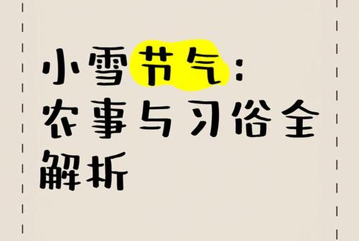 小雪的乡村生活；小雪的乡村生活最新更新内容