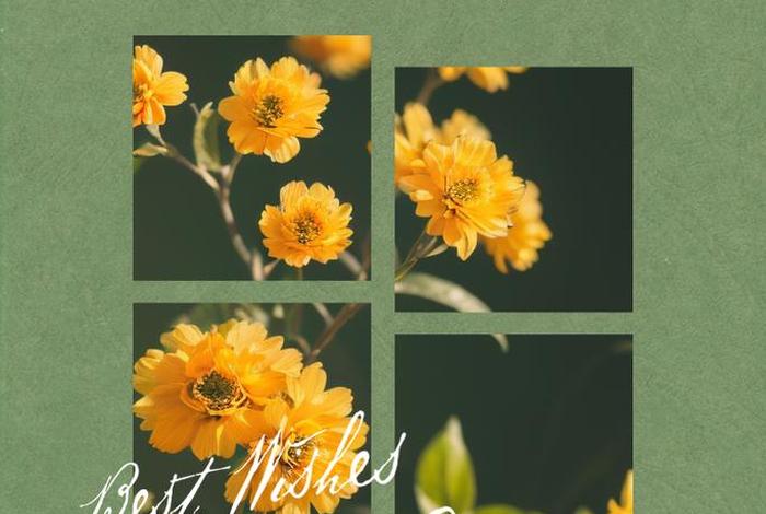 生活日常说说朋友圈（日常生活朋友圈说说配图）