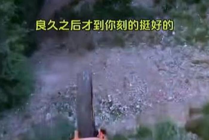 重生八八从木匠开始、重生八八从木匠开始免费阅读