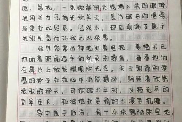 这是我的生活作文600字（电视剧这是我的生活）