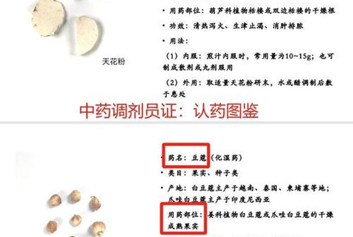 调剂生活的良药 - 调剂生活的良药有哪些 调剂生活的良药 - 调剂生活的良药有哪些