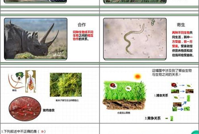 生物与生活的关系，生物与日常生活的联系