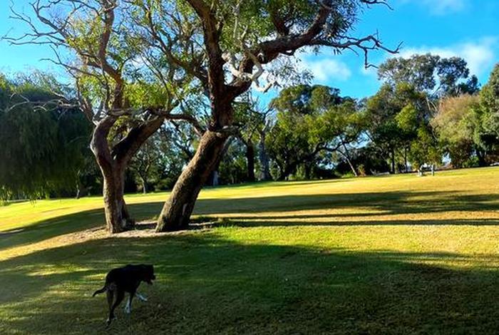 澳大利亚的生活很悠闲，澳大利亚生活知乎