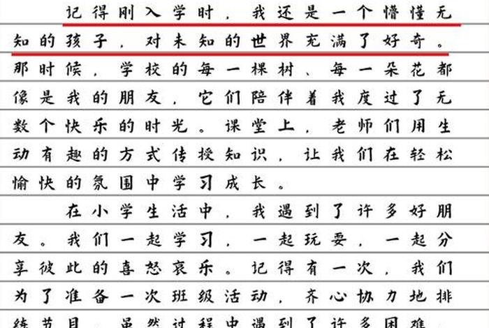 小学生生活篇怎么写 小学生生活作文怎么写 小学生生活篇怎么写 小学生生活作文怎么写