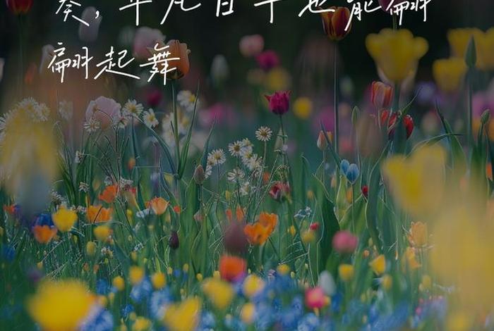 喜欢现在的生活状态文案，喜欢现在的生活状态的图片