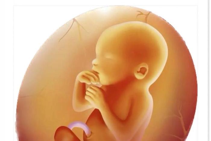 怀孕夫妻生活会造成胎儿畸形吗 - 怀孕夫妻性生活会导致流产吗 怀孕夫妻生活会造成胎儿畸形吗 - 怀孕夫妻性生活会导致流产吗