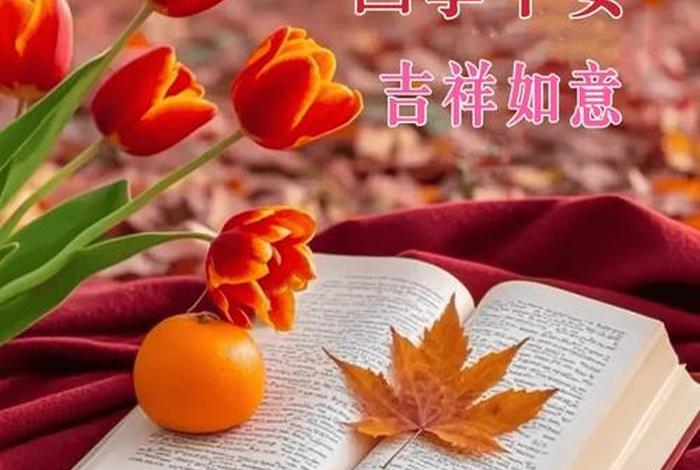 平安生活app下载安装最新版,《平安生活》 平安生活app下载安装最新版,《平安生活》