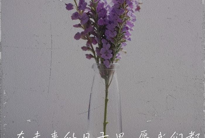 对生活的期待和憧憬 - 对生活的期待和憧憬四字短句 对生活的期待和憧憬 - 对生活的期待和憧憬四字短句