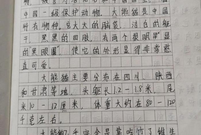 熊猫的特点和生活特征 熊猫的特点和生活特征作文二年级 熊猫的特点和生活特征 熊猫的特点和生活特征作文二年级