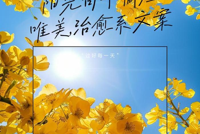 阳光生活的句子简短、阳光生活的文案