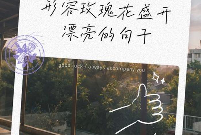 装点生活的鲜花 - 鲜花装点生活的每句 装点生活的鲜花 - 鲜花装点生活的每句