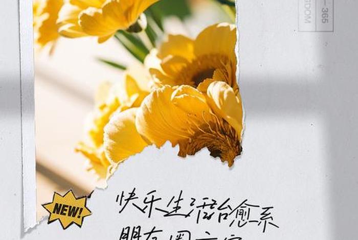 关于生活的文案治愈系;什么文案容易上热门 关于生活的文案治愈系;什么文案容易上热门