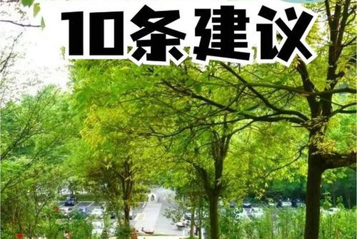 绿色生活低碳环保小妙招（绿色环境低碳生活）