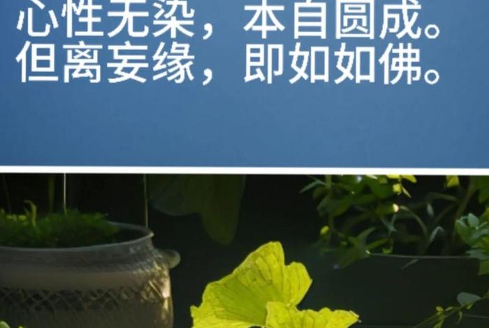 禅的生活感悟 - 生活感悟禅语经典句子 禅的生活感悟 - 生活感悟禅语经典句子