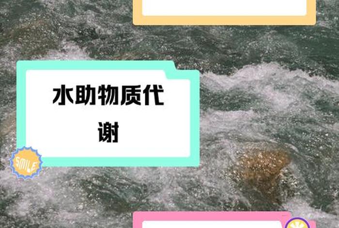 生命是水 生命是水尊严就是流动的类似仿写句子 生命是水 生命是水尊严就是流动的类似仿写句子