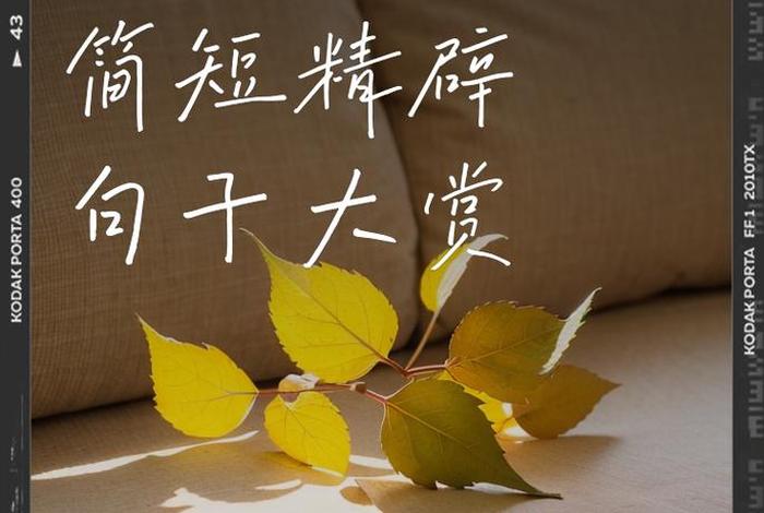 茶与生活uooc(茶与生活的句子) 茶与生活uooc(茶与生活的句子)