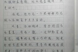关于生活的日记150字三年级；生活日记作文150字