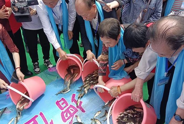 放生活动是指什么 - 放生活动主题 放生活动是指什么 - 放生活动主题