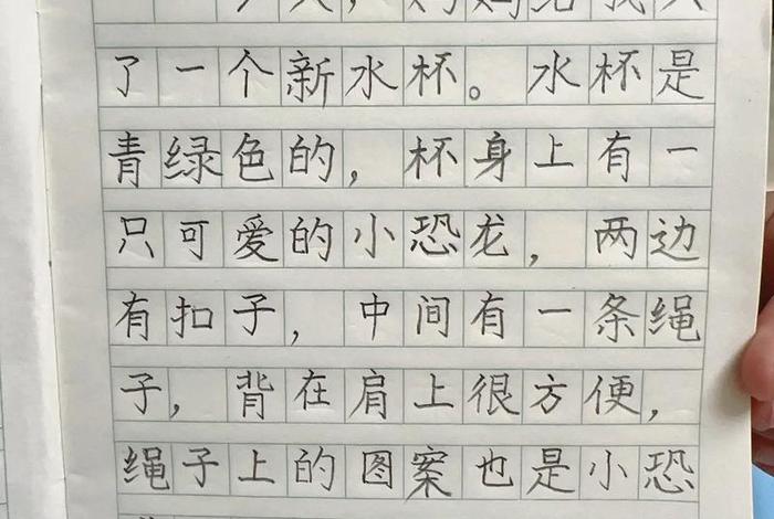 小学二年级的生活日记（小学二年级的生活日记怎么写）