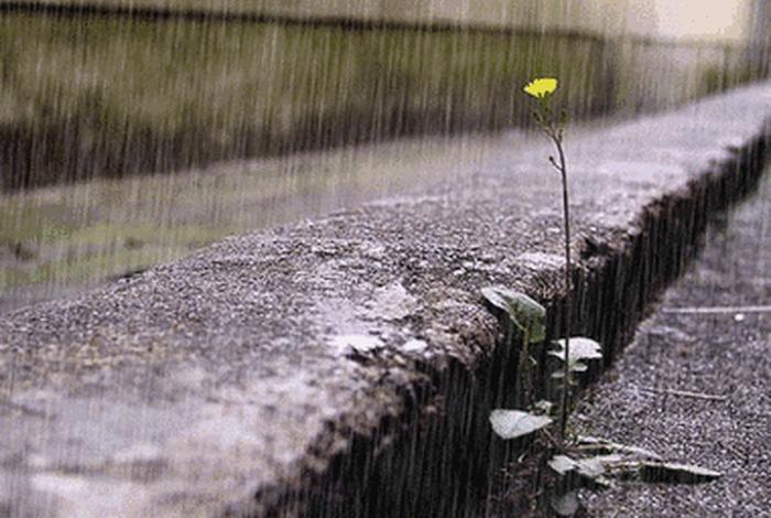 生活感悟的图片动态图；生活感悟经典句子图