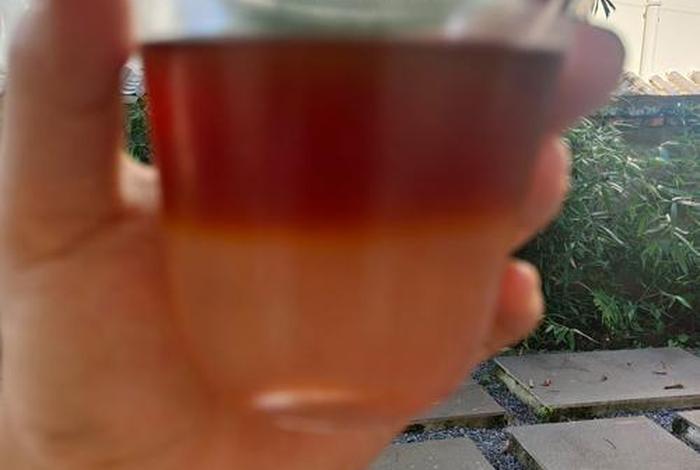 生活地带 普洱,普洱生活方式 生活地带 普洱,普洱生活方式