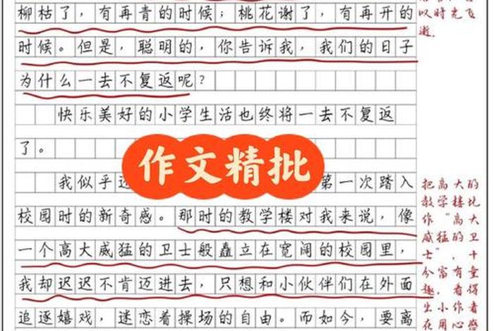 小学生活总结作文 - 小学生活总结作文怎么写 小学生活总结作文 - 小学生活总结作文怎么写