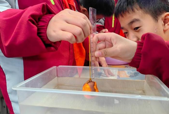 观察生活中的浮力现象，观察生活中的浮力现象小学科学