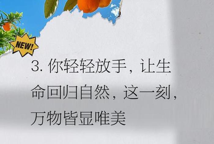 放生活动的视频素材、放生活动文案