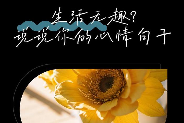 生活枯燥乏味什么意思,生活乏味枯燥的心情说说 生活枯燥乏味什么意思,生活乏味枯燥的心情说说