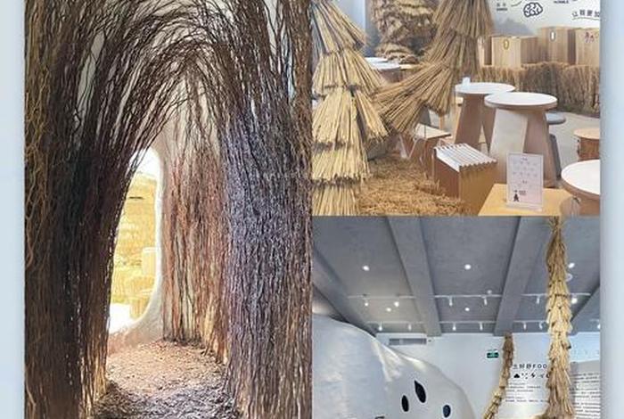 加减生活科技有限公司官网(加减木生活馆) 加减生活科技有限公司官网(加减木生活馆)