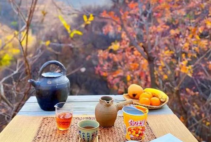 生活需要诗意；生活需要诗意吗