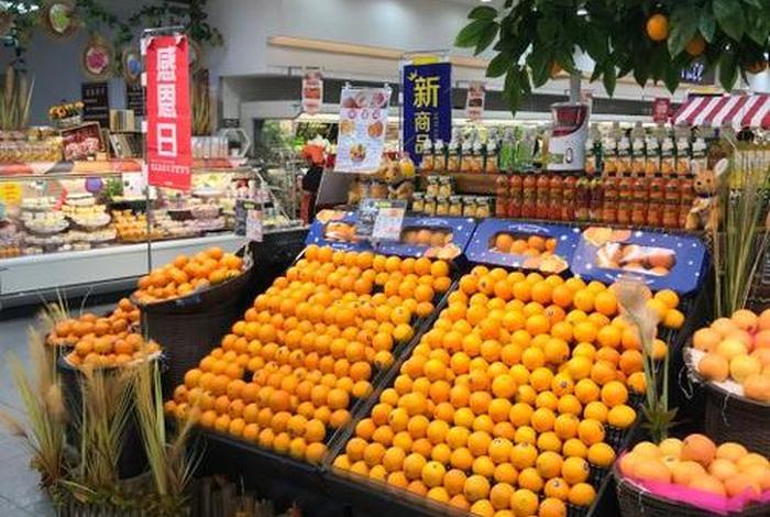 阳光新生活官网 阳光新生活官网下载