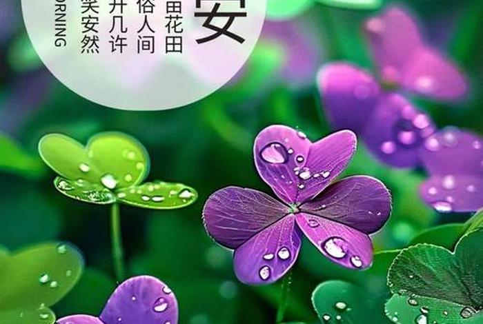 早安生活语录正能量,早安生活励志语录大全 早安生活语录正能量,早安生活励志语录大全