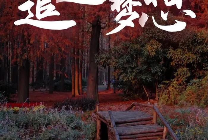 梦想与生活的照片 - 梦想和生活哪个更重要