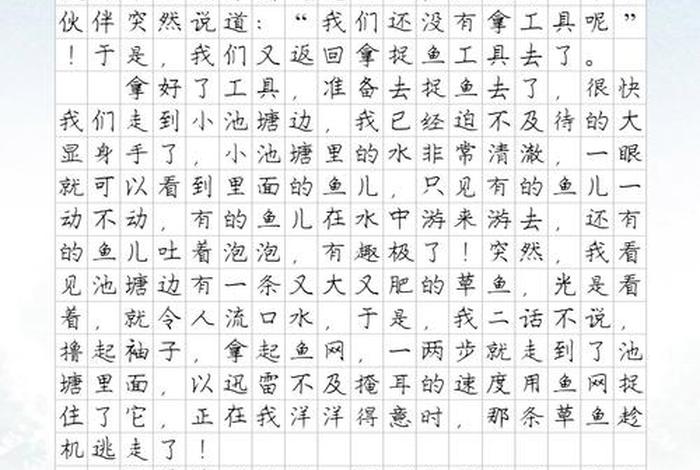 生活因而精彩作文400字四年级下册优秀作文 生活因而精彩作文500字以上
