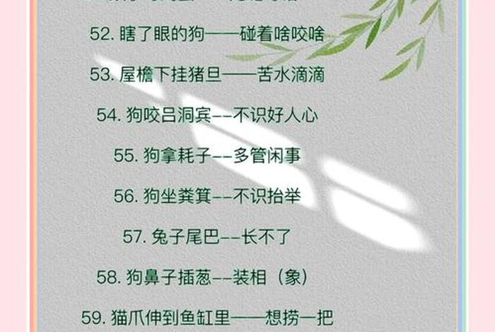 生活歇后语的运用 - 生活中歇后语表达的意思是什么