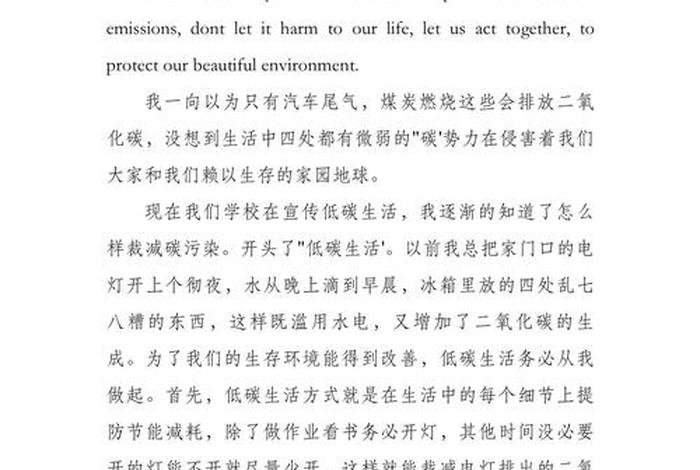 生活环境英语化翻译；生活环境 翻译