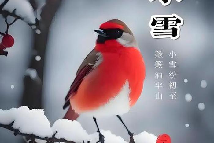 小雪的生活视频，继续播放小雪的