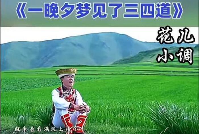 青海生活广播花儿调频903（青海生活广播花儿调频属于哪个单位）