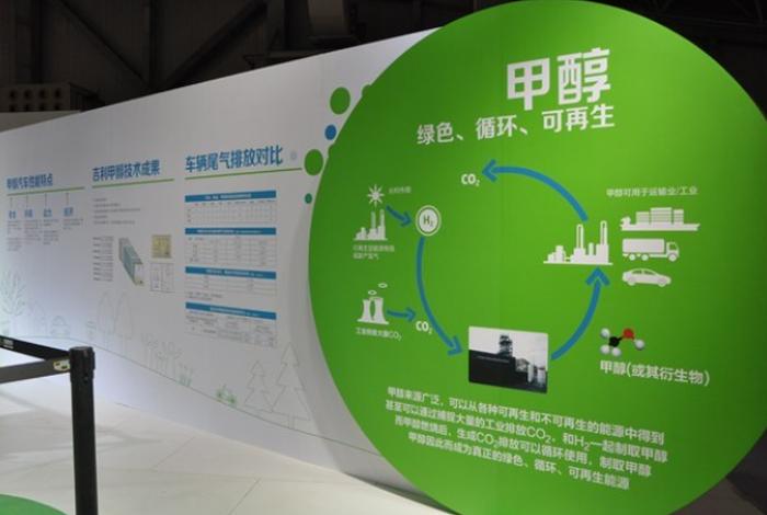 宜城生物质气化耦合绿氢制绿色甲醇项目环境影响评价、宜城生物质电厂