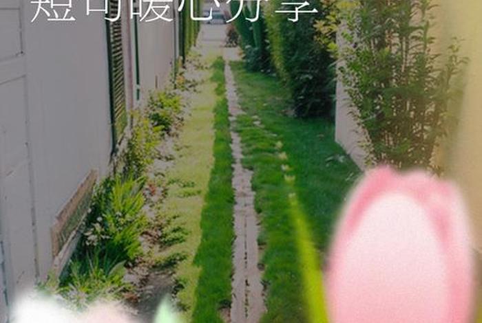 幸福快乐的生活文案（幸福快乐生活感悟句子）