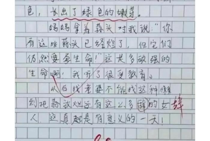 生活的意义作文 关于生活的作文 生活的意义作文 关于生活的作文