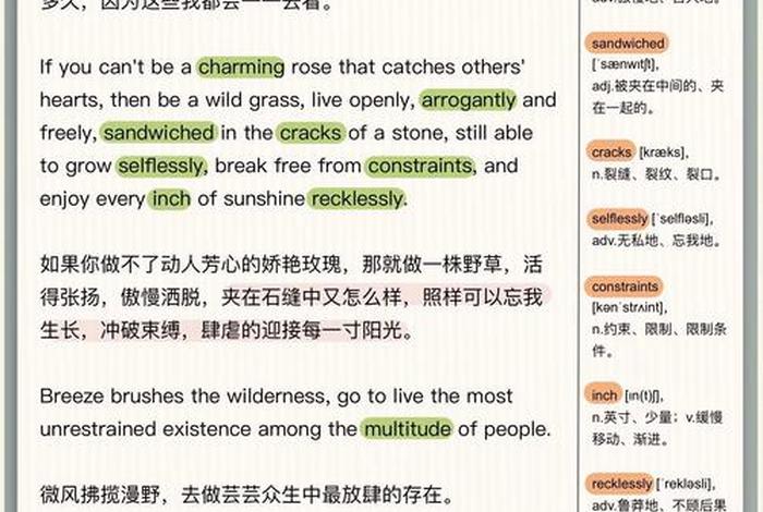 享受生活的人英文、享受生活的英语怎么写 享受生活的人英文、享受生活的英语怎么写