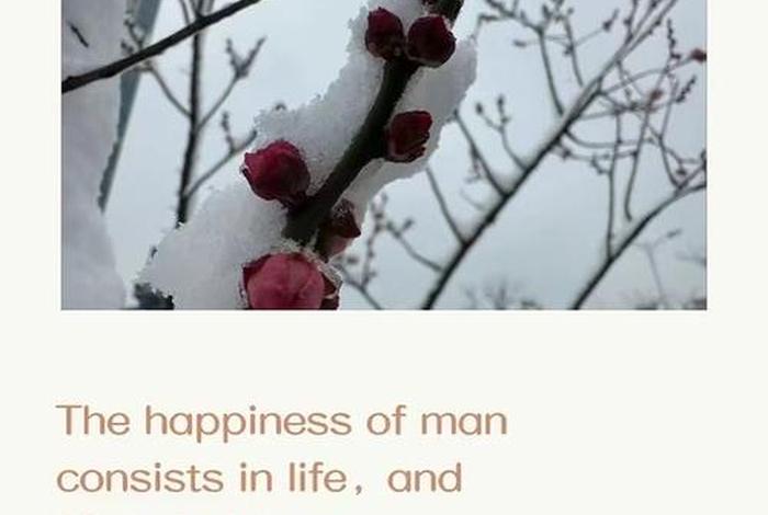 平淡的生活英文、平淡生活 英文