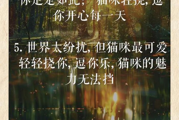 爱猫生活 正式版（爱猫生活组观点正确吗）