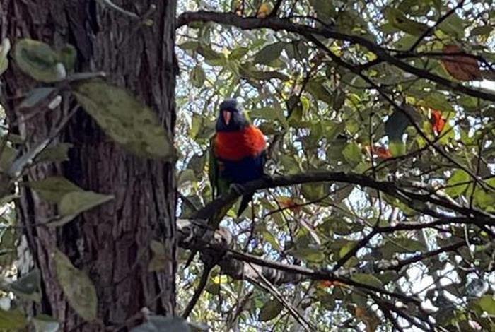 澳大利亚的生活怎么样、澳大利亚生活如何