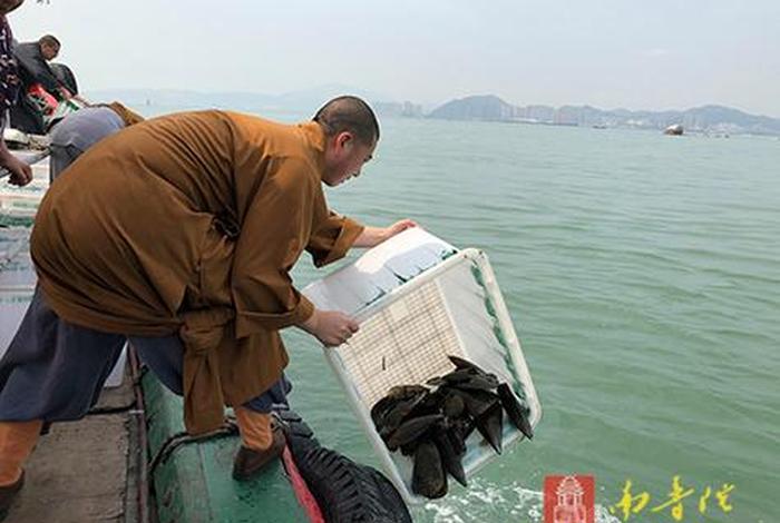 放生活动的操作模式;最简单最有效的放生仪式 放生活动的操作模式;最简单最有效的放生仪式