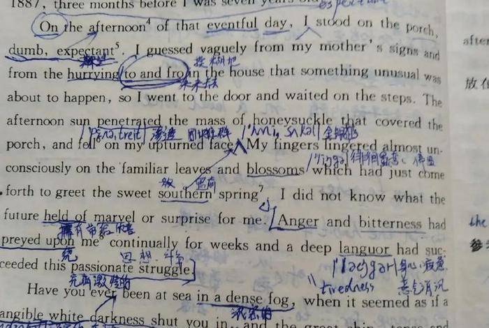 生活与生命的英文 - 生活与生命的英文翻译 生活与生命的英文 - 生活与生命的英文翻译