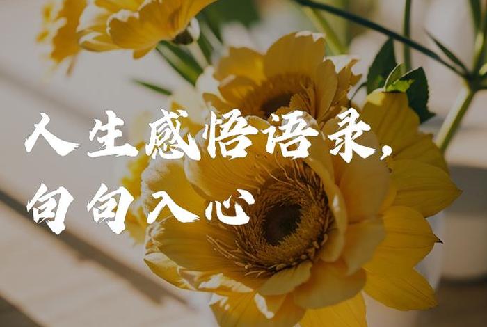 生活感悟的图片带文字；生活感悟图片图片图库